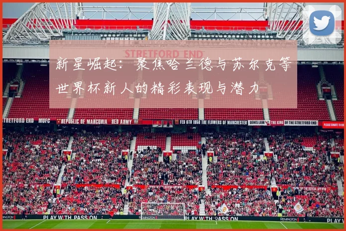 新星崛起：聚焦哈兰德与苏尔克等世界杯新人的精彩表现与潜力