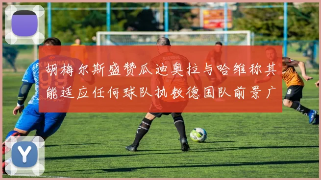 胡梅尔斯盛赞瓜迪奥拉与哈维称其能适应任何球队执教德国队前景广阔