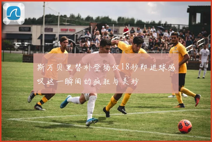 斯万贝里替补登场仅18秒即进球感叹这一瞬间的疯狂与美妙