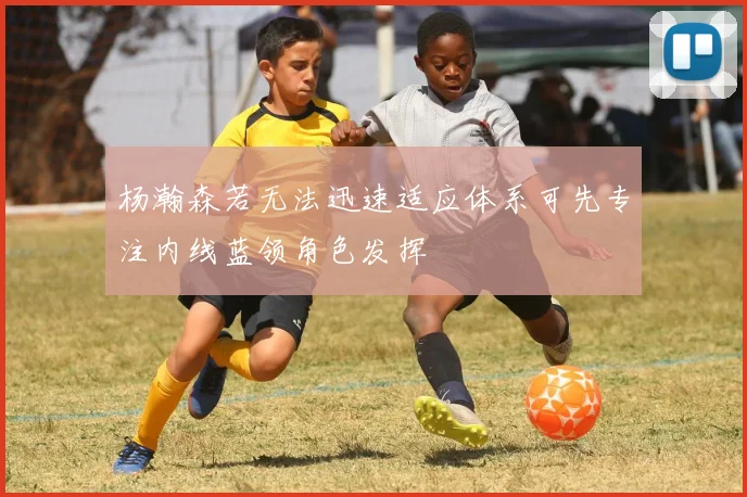 杨瀚森若无法迅速适应体系可先专注内线蓝领角色发挥