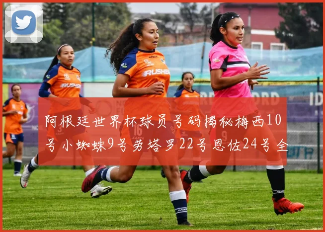 阿根廷世界杯球员号码揭秘梅西10号小蜘蛛9号劳塔罗22号恩佐24号全解析